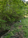 PXL_20260418_044721597