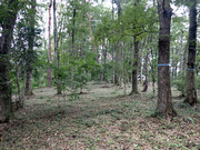 P9290025