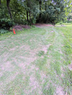 PXL_20260623_084514971