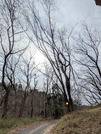PXL_20260220_033134299