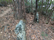 PXL_20260119_032321188