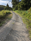 PXL_20260729_075605930