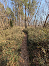 PXL_20260301_055644808