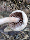 PXL_20260715_081416188