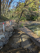 PXL_20251207_023812657