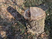 PXL_20260111_020828215