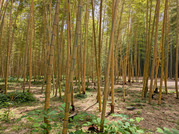 PXL_20260610_024220316