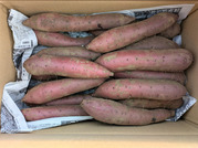 PXL_20260113_005308758