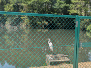 PXL_20260513_035710263