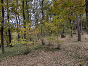 PXL_20251117_235247903