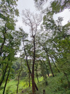 PXL_20260718_063026682
