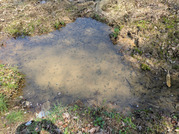 PXL_20260403_031738753