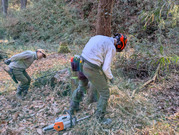 PXL_20260116_020334813