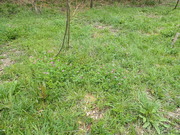 P4100006