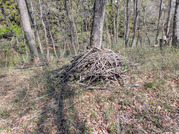 PXL_20260403_015125065