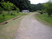 P6020075