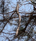 PXL_20260301_022250550