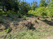 PXL_20260515_041055650