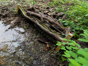 PXL_20260427_032910151