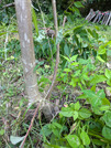 PXL_20260529_073203546