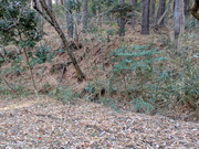 PXL_20260116_010315684