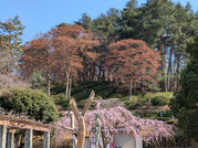 PXL_20260323_051639167