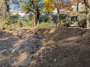 PXL_20251130_033242656