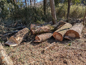 PXL_20260116_035453116