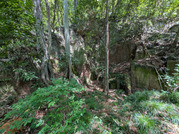 PXL_20260428_030912565