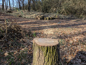 PXL_20260111_020840687