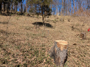 PXL_20260308_022843161
