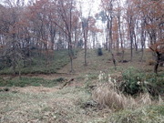 PC080041