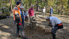 PXL_20251114_013732356