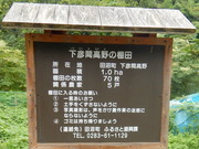 DSCN8754