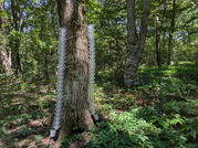 PXL_20260805_025428327