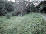 PXL_20261001_084718437