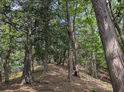 PXL_20260531_042920393