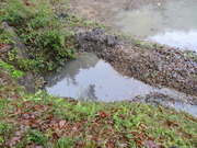 DSC09798