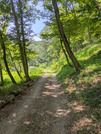 PXL_20260731_023621941