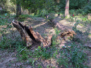 PXL_20260529_072322271