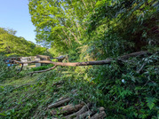 PXL_20260529_072153058
