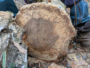 PXL_20260116_015906835