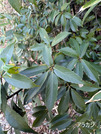 PXL_20260301_011540811