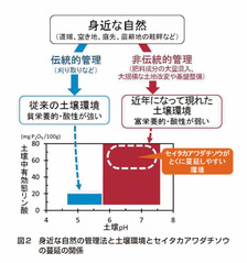 セイタカアワダチソウの蔓延を防ぐ（農環研）_2