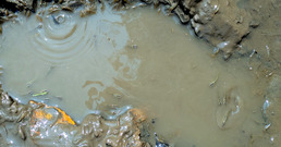 PXL_20250827_021325037