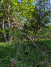 PXL_20260517_002100338