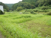 DSCN8755