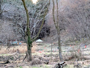 PXL_20260305_082430036