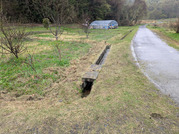 PXL_20260404_041750286