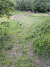PXL_20260509_092447575